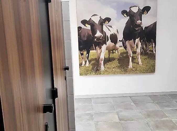 Mini- Camping De Peelweide